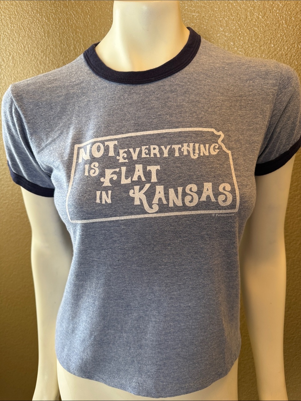 Blue Ringer Tee with 'Not Everything is Flat in Kansas' Graphic